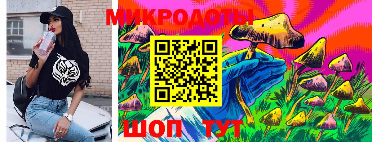 Дубна  Псилоцибиновые грибы Cubensis  цена   Вход с VPN 